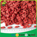 bulk goji berries wholesale goji berry